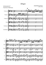 Allegro